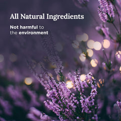 MAGNIFICENT 101 glass jar lit creates a soothing lavender-sage aroma.