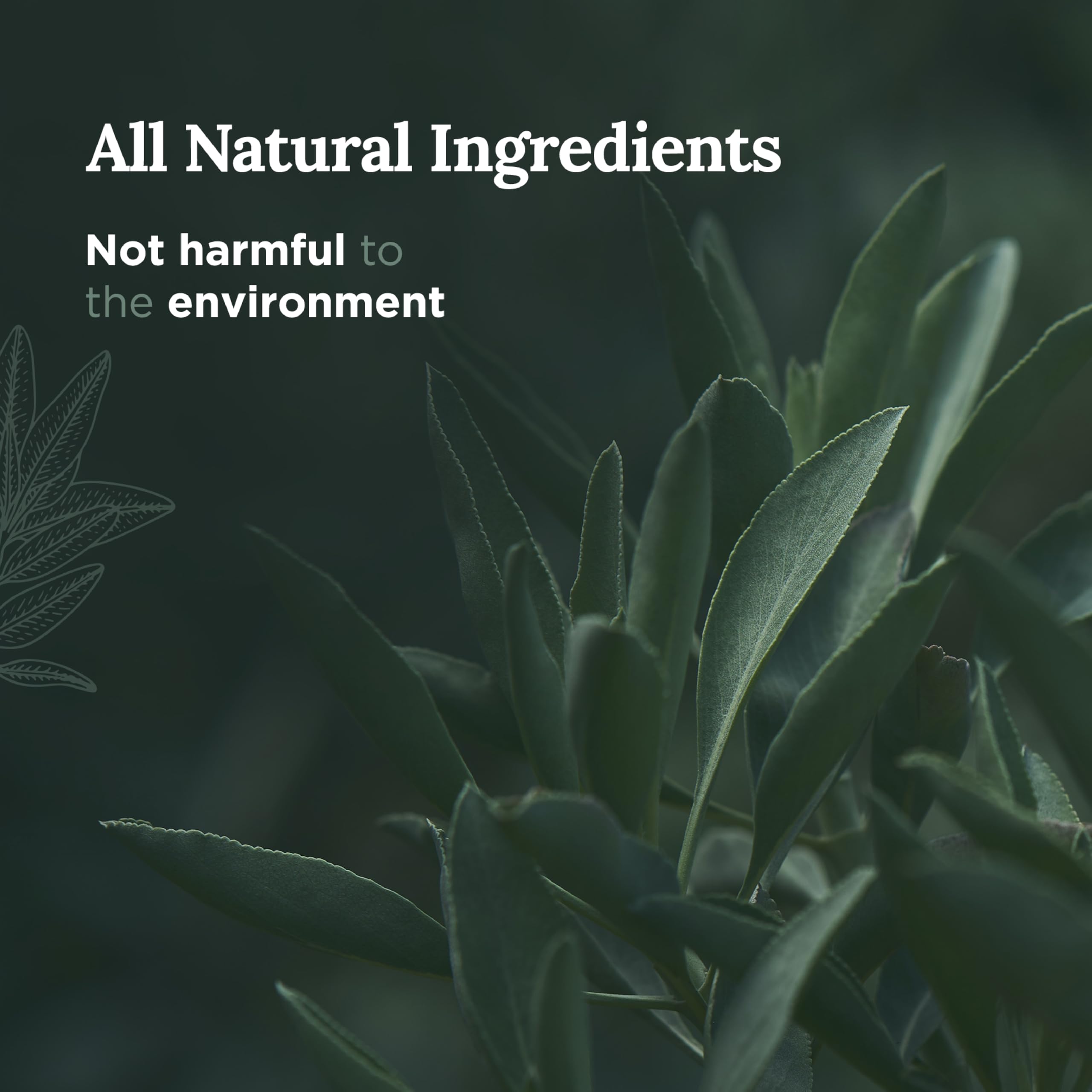 Magnificent 101 Pure Sage Candle lit for a 56-hour burn of calm energy.