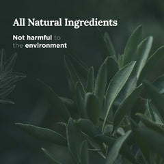 Magnificent 101 Pure Sage Candle lit for a 56-hour burn of calm energy.