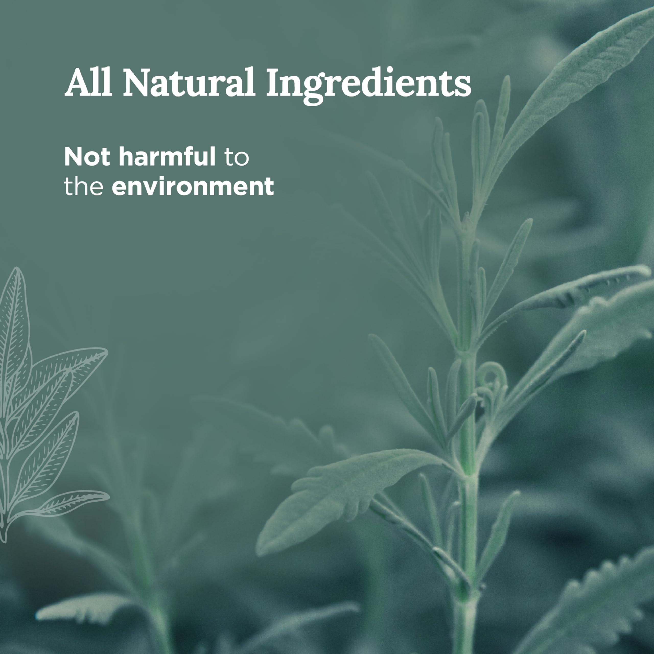 Magnificent101 Sage fragrance fills space, aiding focus during intention-setting rituals.