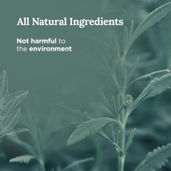 Magnificent101 Sage fragrance fills space, aiding focus during intention-setting rituals.
