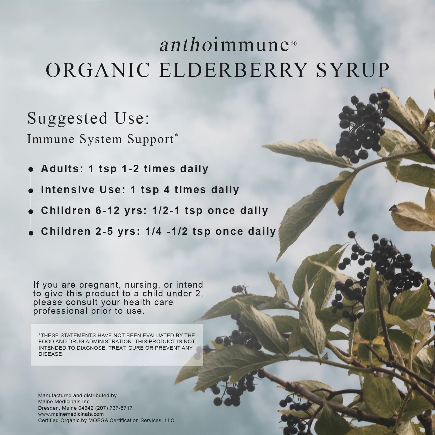 Elderflowers feature in the Maine Medicinals formula