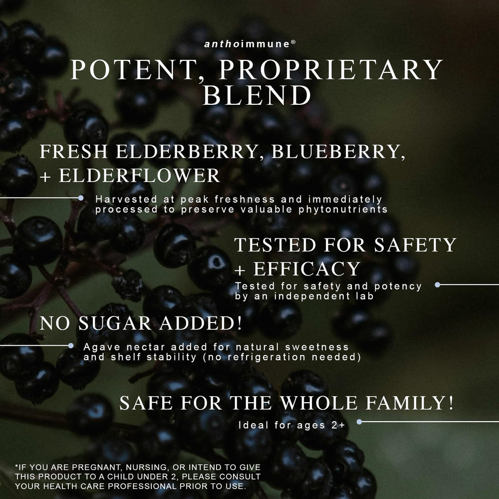 Organic elderberries used in the Maine Medicinals blend
