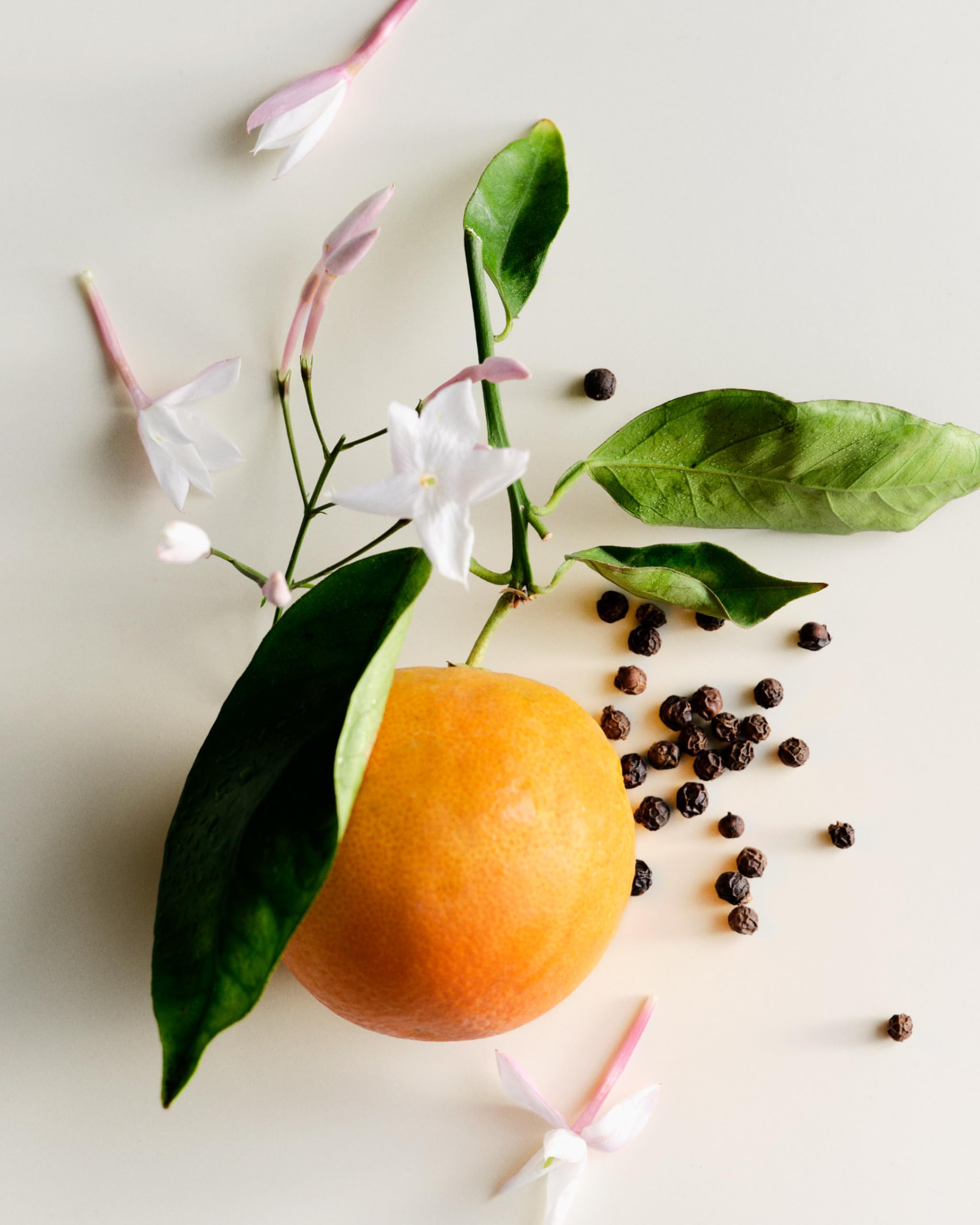 Maison Louis Marie Antidris Jasmine candle packaging evokes gift-worthy luxury.