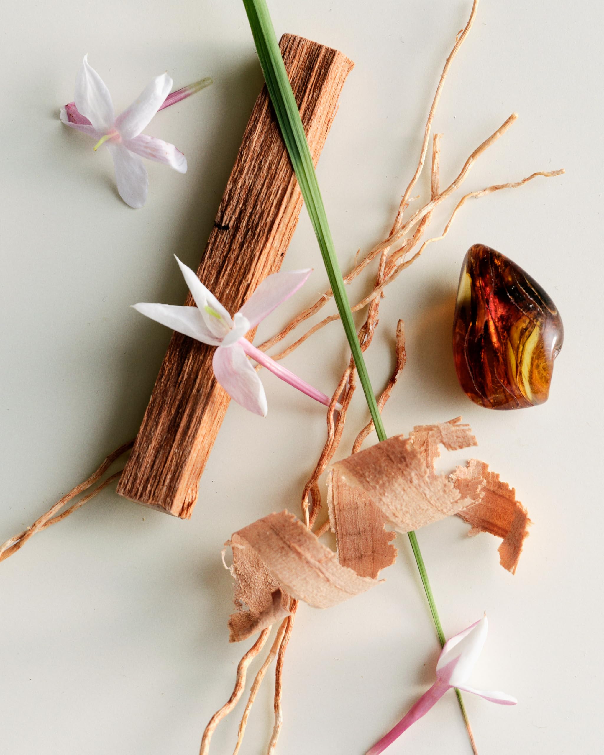 Maison Louis Marie No.04 Bois de Balincourt diffuser in a home setting
