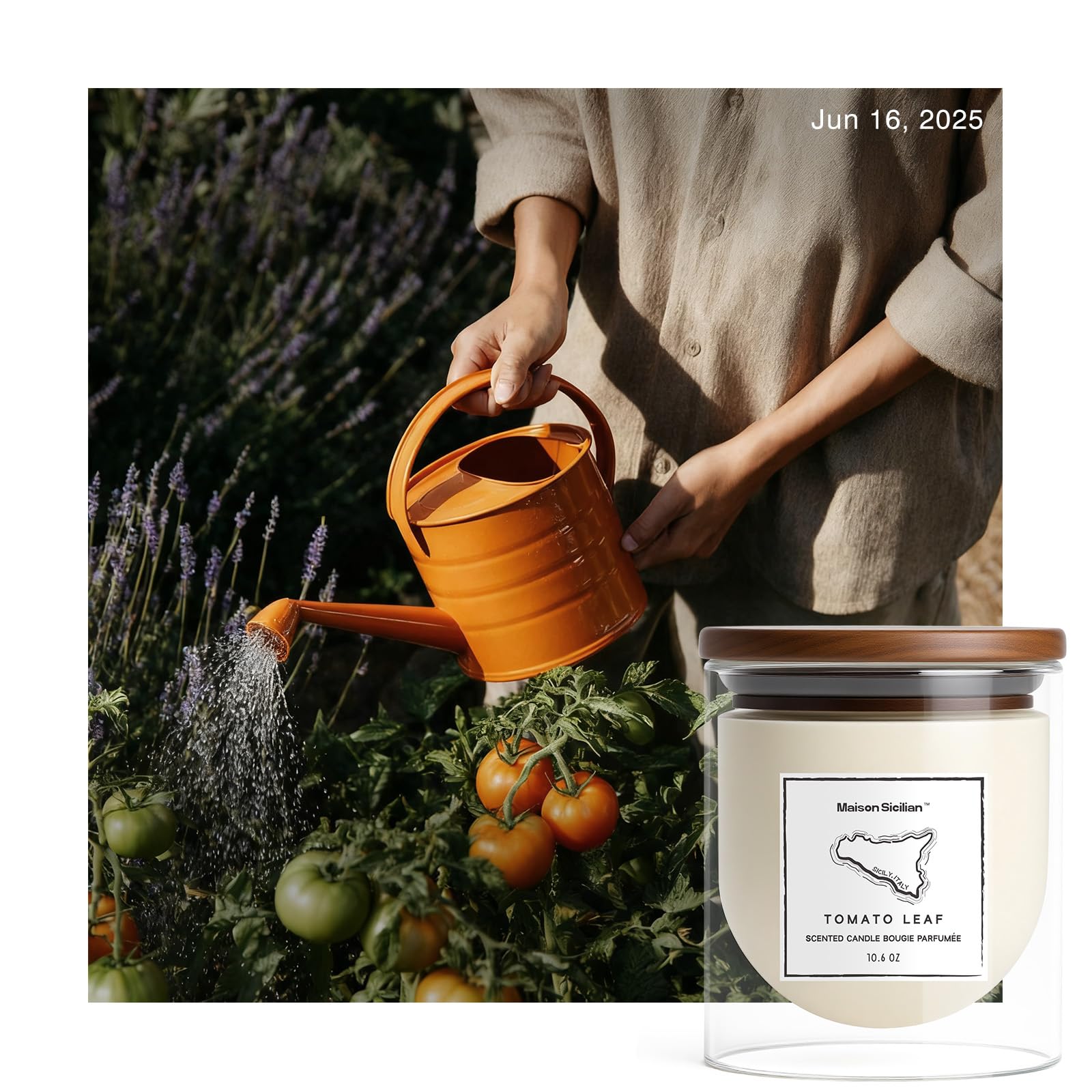 Maison Sicilian Tomato Leaf Candle jar showcases a clear glass container for kitchen ambience