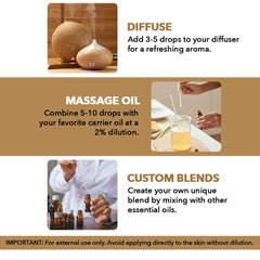 Diffuse Majestic Pure frankincense oil in a calm scene for relaxing ambience.
