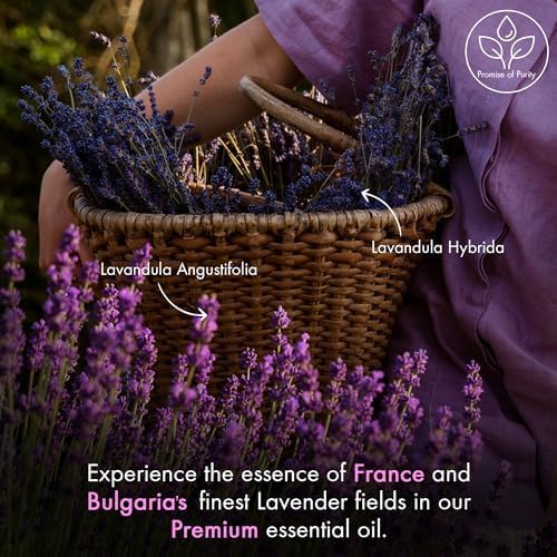 Majestic Pure lavender oil diffuser scene delivers relaxing ambiance.