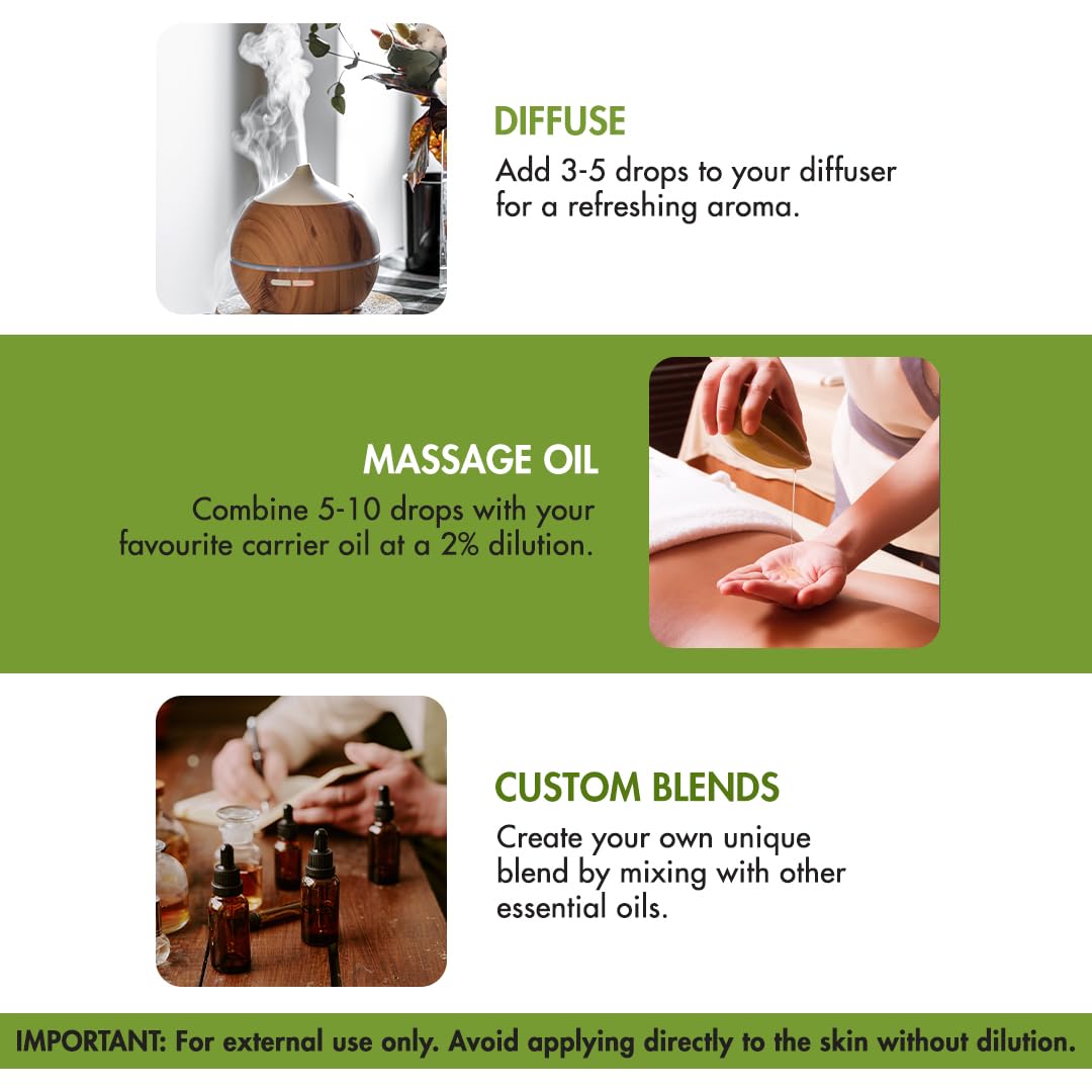 Majestic Pure rosemary oil for hair care routines.
