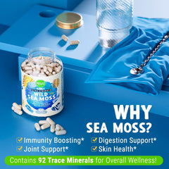 MAJU Sea Moss wild harvest collection image emphasizing ocean-sourced ingredients for balance.