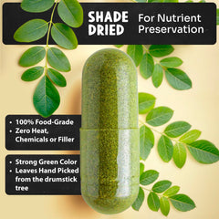 Maju Superfoods Moringa capsules green tint signals natural potency for daily use