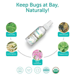 Hands applying Mambino Organics Anti-Bug Spray to skin for DEET-free protection.