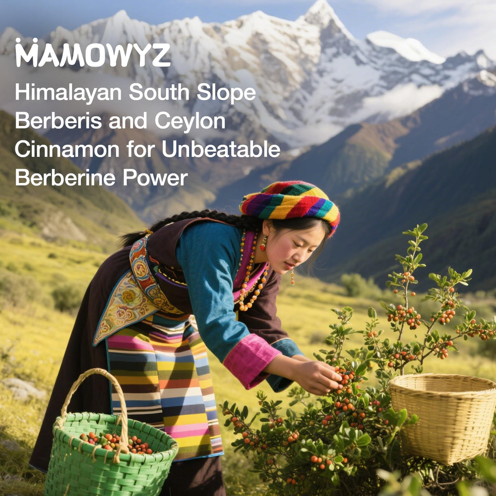 MAMOWYZ Berberine Cinnamon capsules on a white surface for easy routines.
