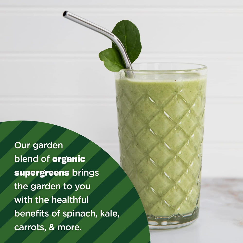 Manitoba Harvest Supergreens blend bowl showcases vibrant greens ideal for quick breakfast prep