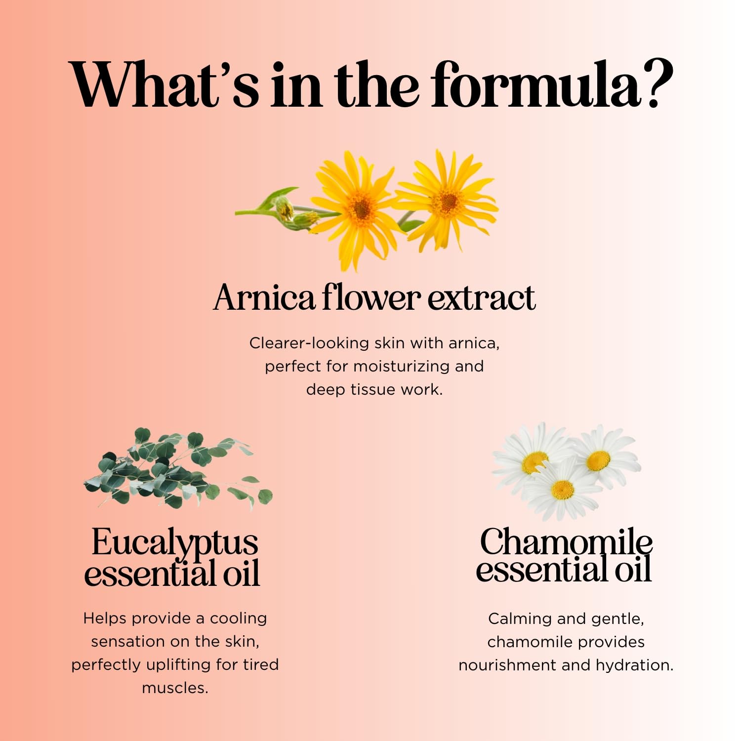 Maple Holistics Arnica Massage Oil enriched with sweet almond and rosemary.