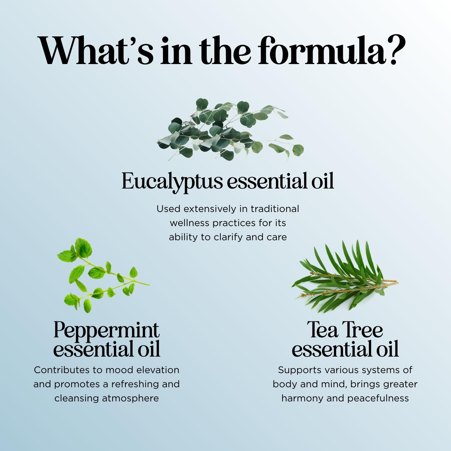 Maple Holistics Breathe tea tree oil closeup for cleansing scent