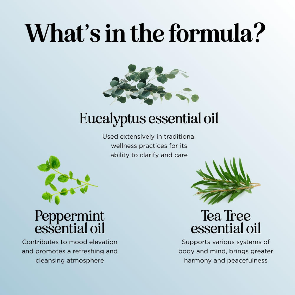 Maple Holistics Breathe tea tree oil closeup for cleansing scent