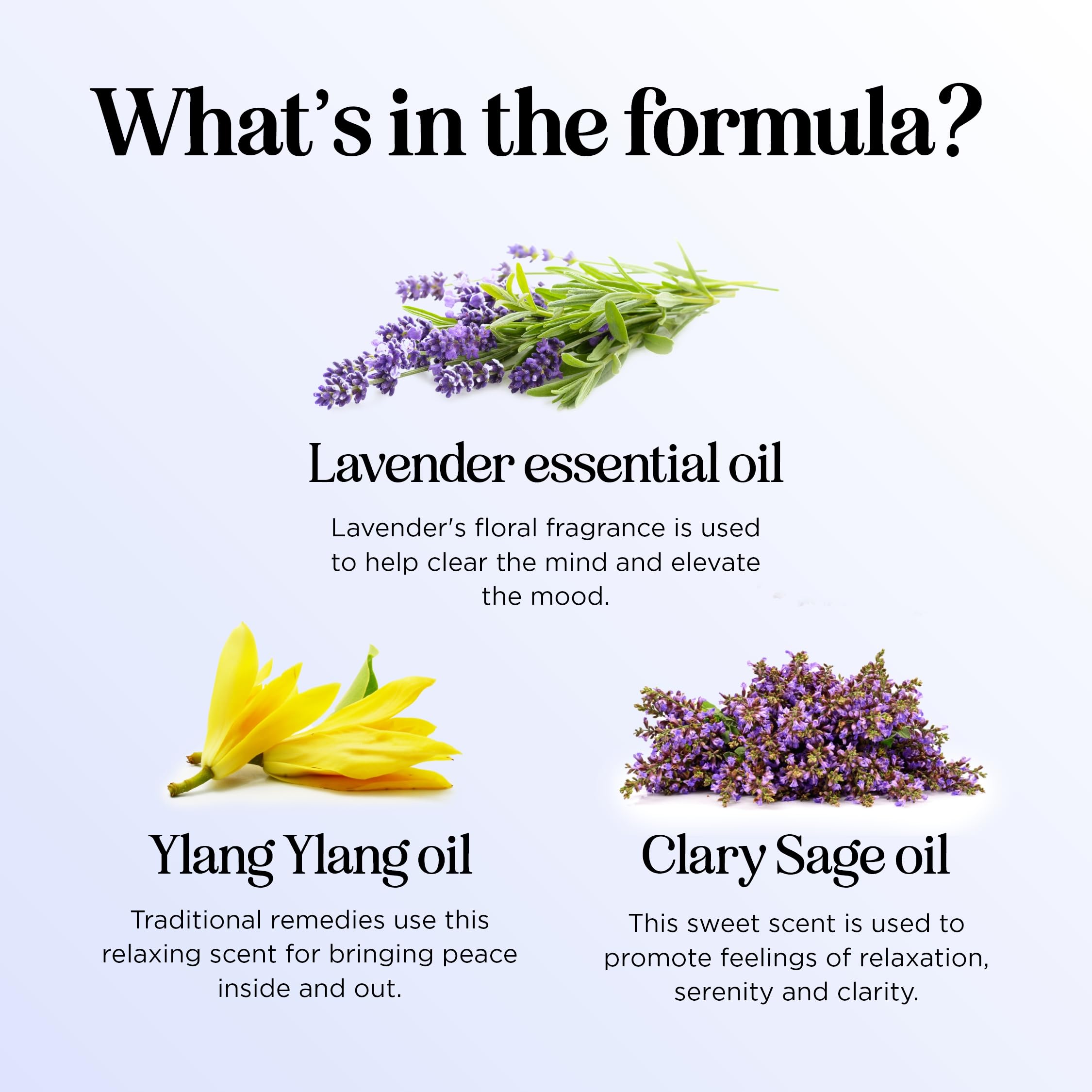 Maple Holistics Dream diffuser oil chamomile note to ease unwinding