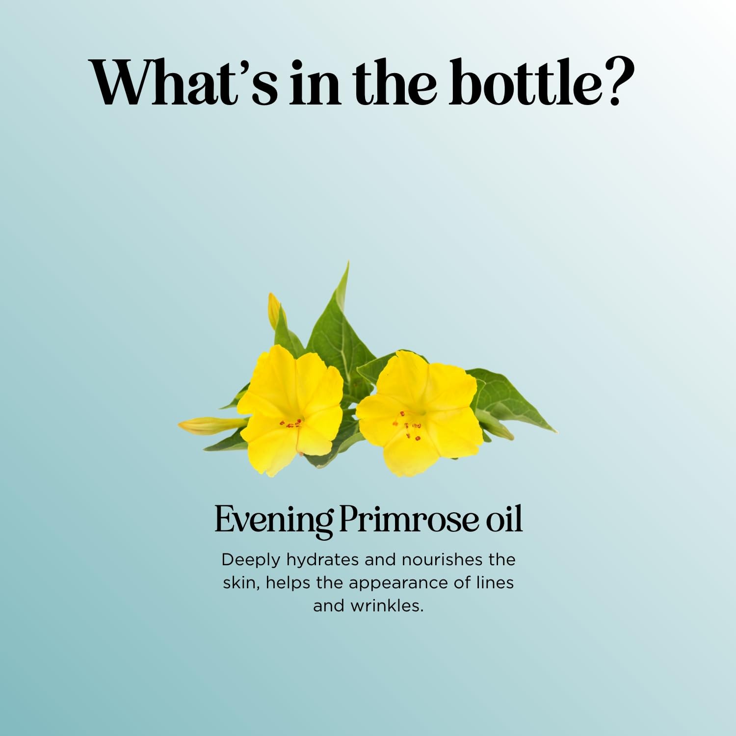 Maple Holistics Evening Primrose Oil bottle with dropper for DIY blends.