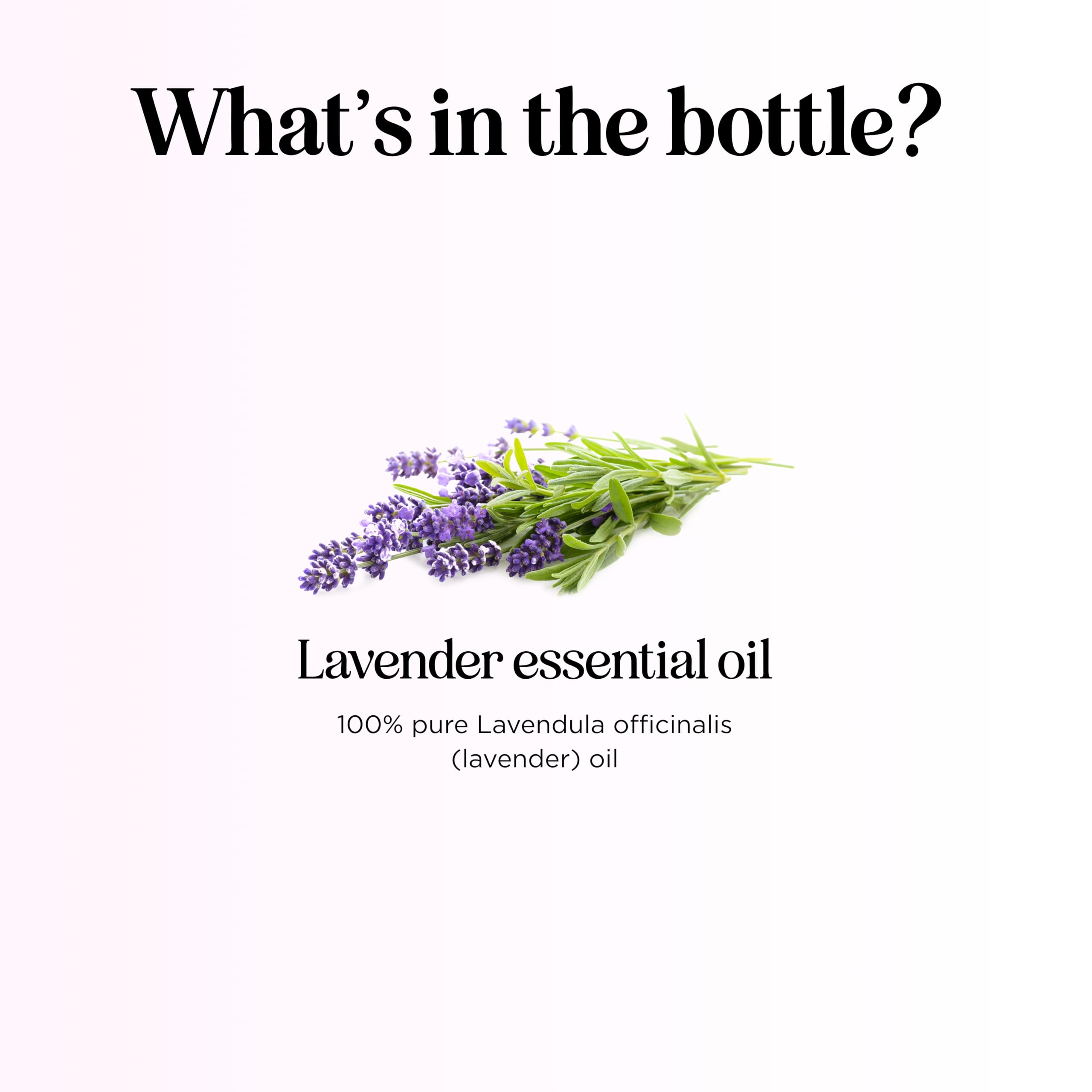 Maple Holistics lavender oil for hair care promotes healthier-looking strands and scalp care.