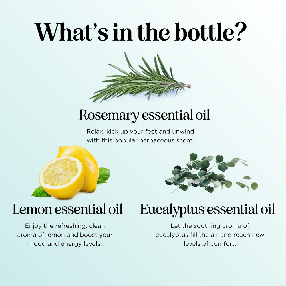 Maple Holistics Mito Ladrones: aceite esencial de eucalipto para respiración fresca
