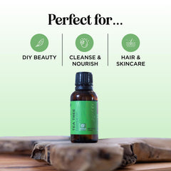 Maple Holistics Tea Tree Oil dropper ready for precise application