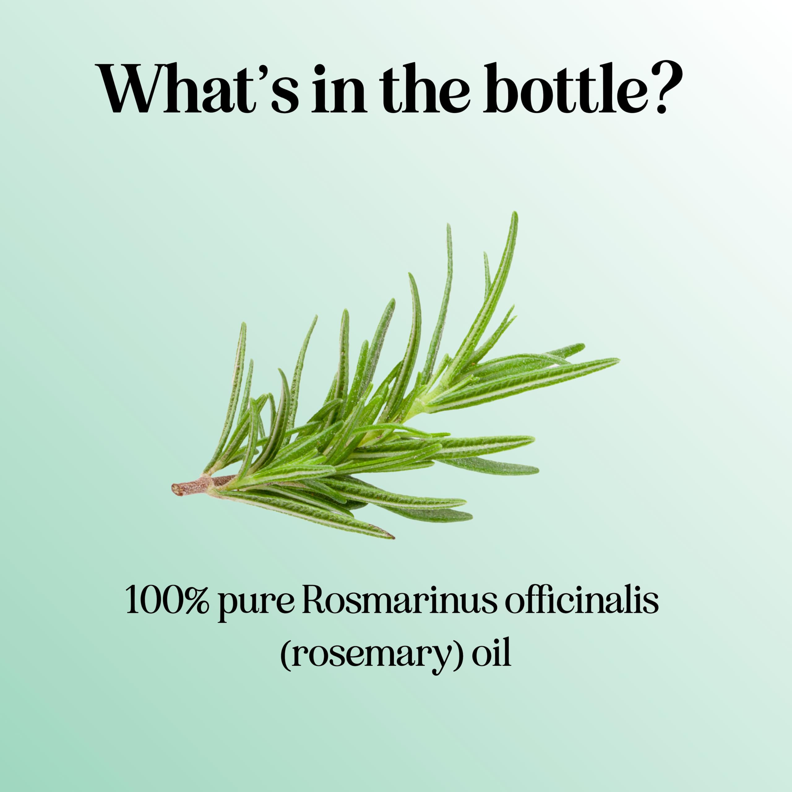 Maple Holistics rosemary oil applied to hair for shine and texture.