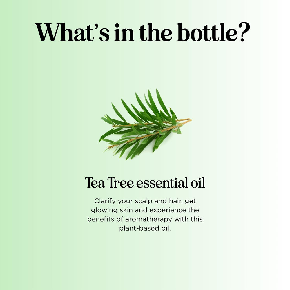 Maple Holistics Tea Tree Oil on scalp for clarifying feel