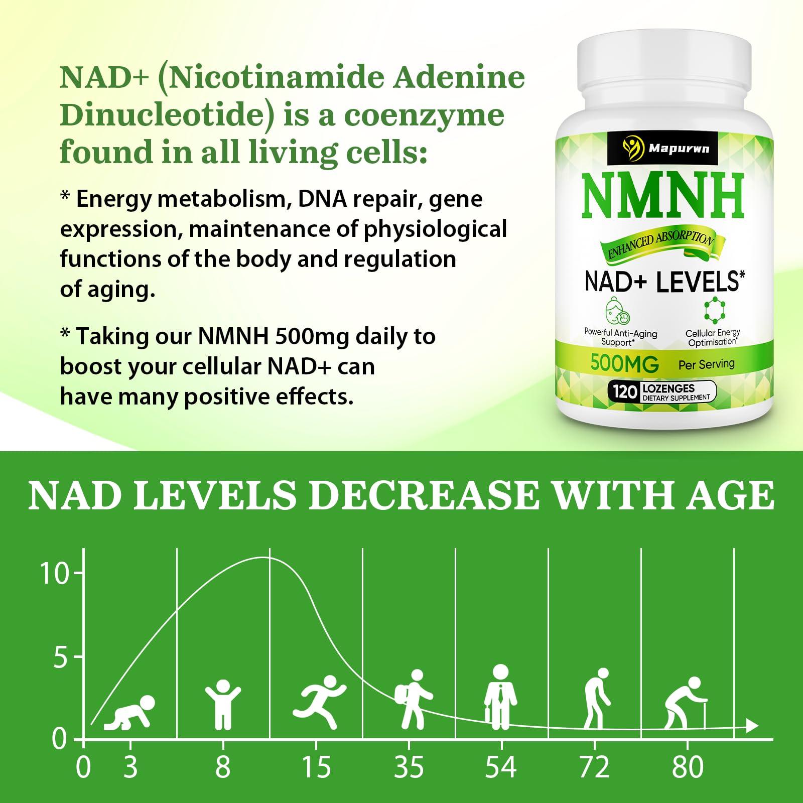 Mapurwn NMNH bottle label detail showing 500 mg per serving for NAD+ support