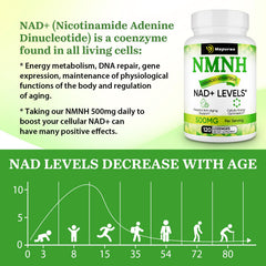 Mapurwn NMNH bottle label detail showing 500 mg per serving for NAD+ support