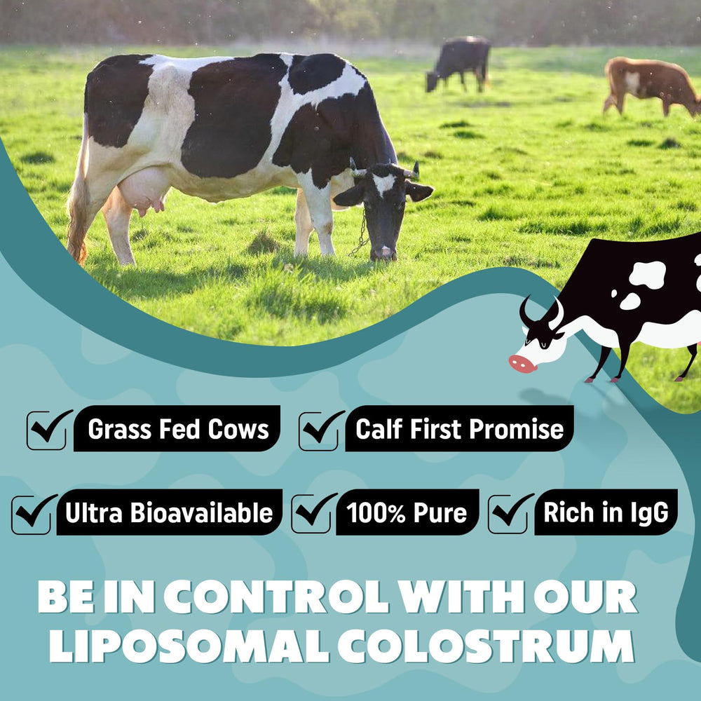 Marafiki unflavored colostrum mix dissolving smoothly in water