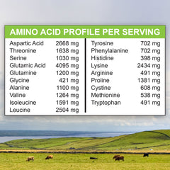 MariGold whey isolate scoop in bowl emphasizes convenient instantized formula.