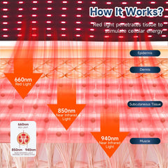 MarrisJjw Rechargeable Red Light Therapy Belt—back view showing coverage.