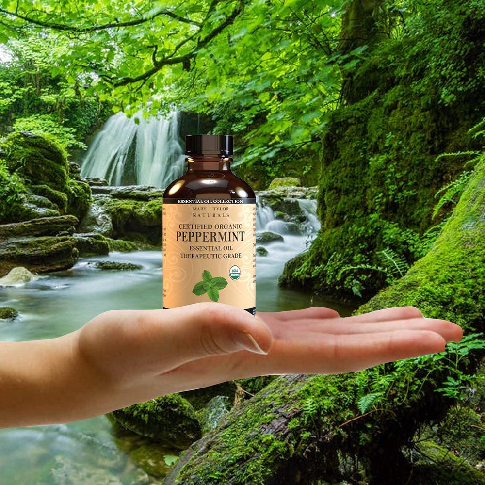 Mary Tylor Naturals steam-distilled peppermint oil for fresh scents