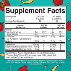 Close look at MaryRuth gummies ingredients and botanicals