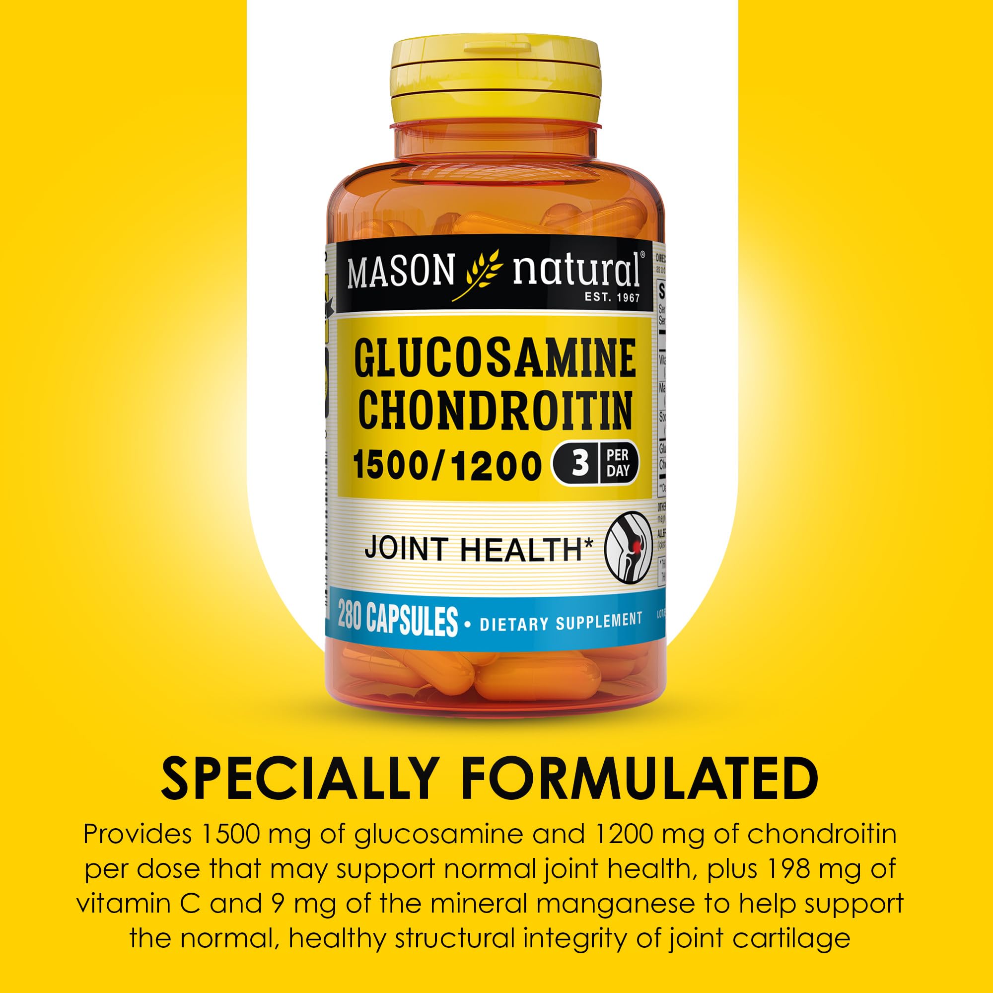 Close up of Mason Natural capsules