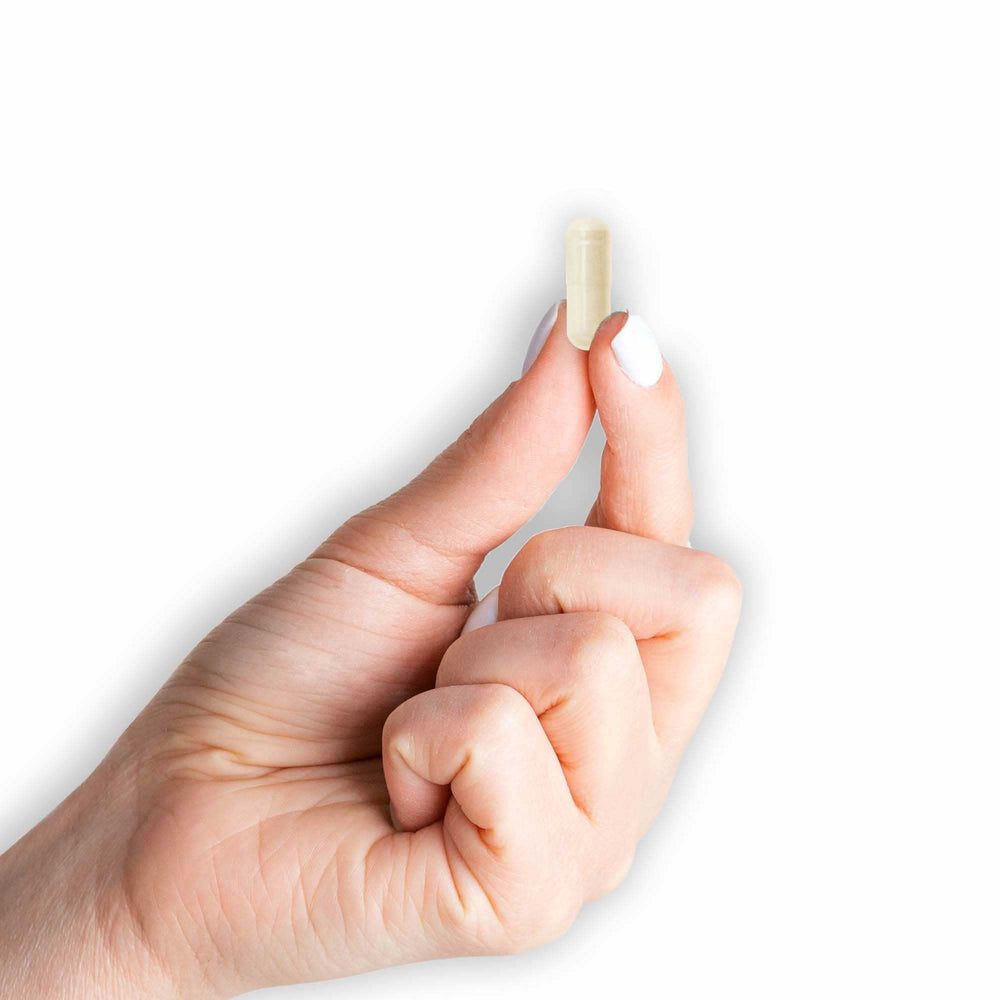 Mason Natural packaging display for joint health supplement