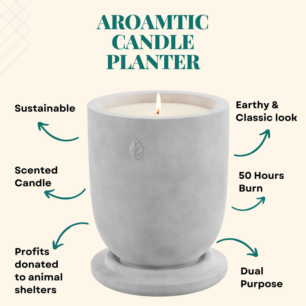 Matani candle planter minimalist concrete design blends modern and earthy vibes