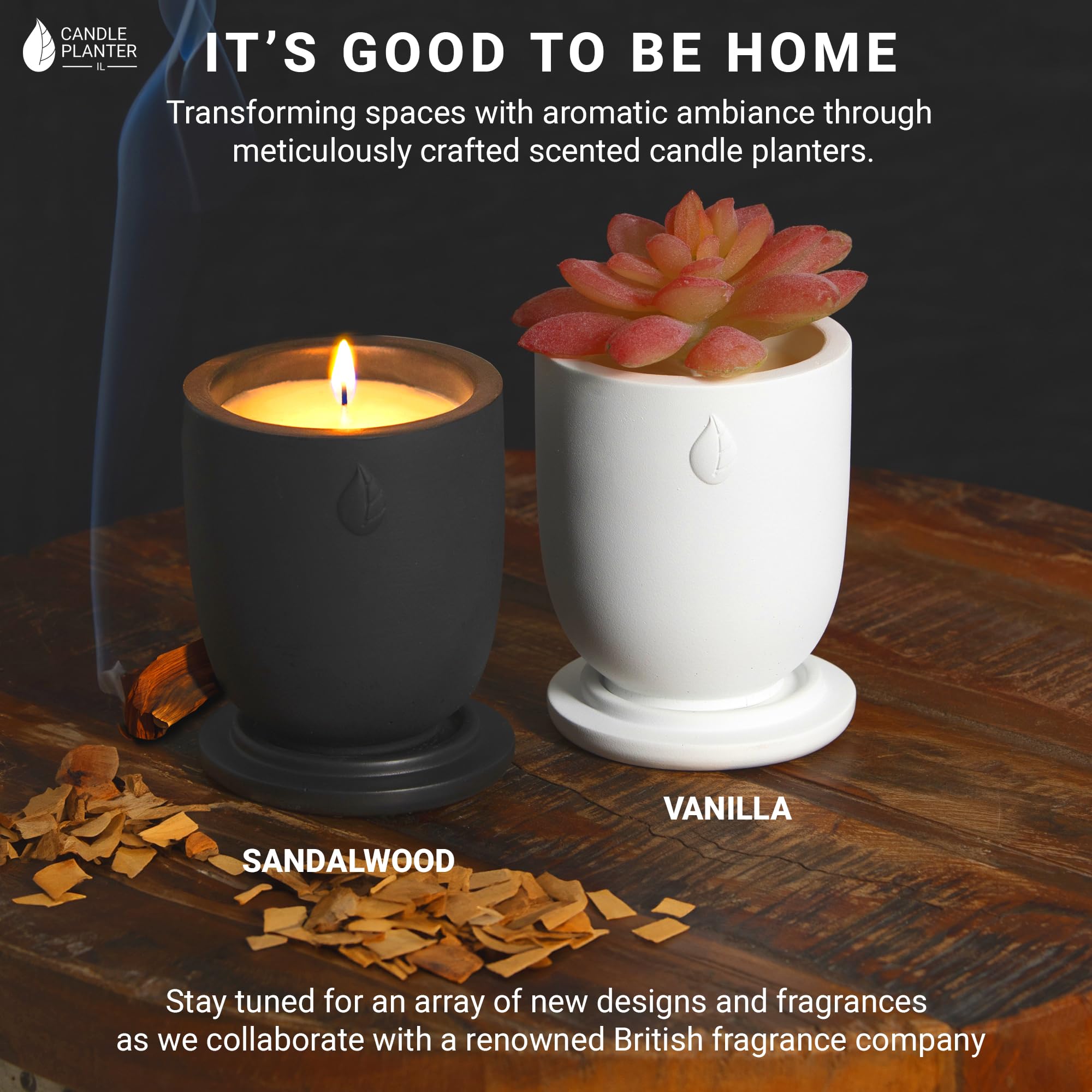 Matani concrete candle planter with a small succulent demonstrates dual-use design
