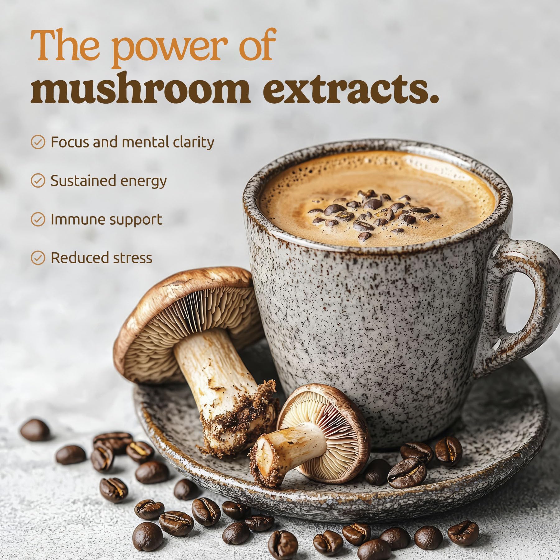 MATCHA DNA lions mane reishi chaga blend for mindful focus.