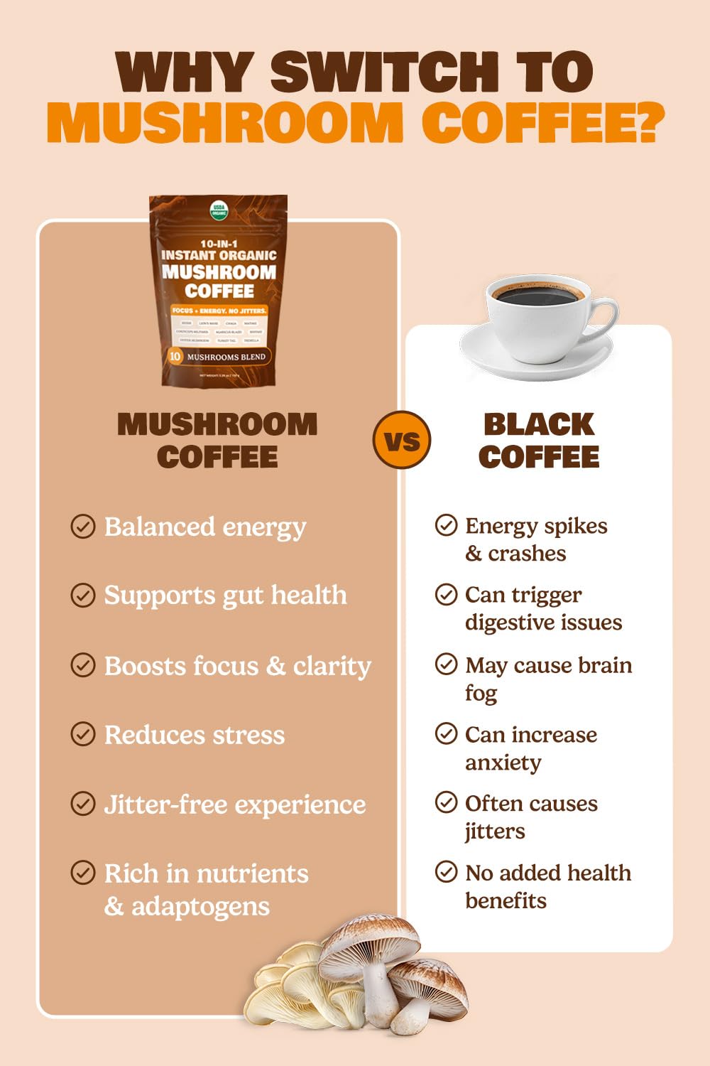 MATCHA DNA ingredients blend of lion’s mane, reishi, and chaga