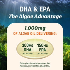 Carrageenan-free vegan omega-3 label on MAV Nutrition bottle