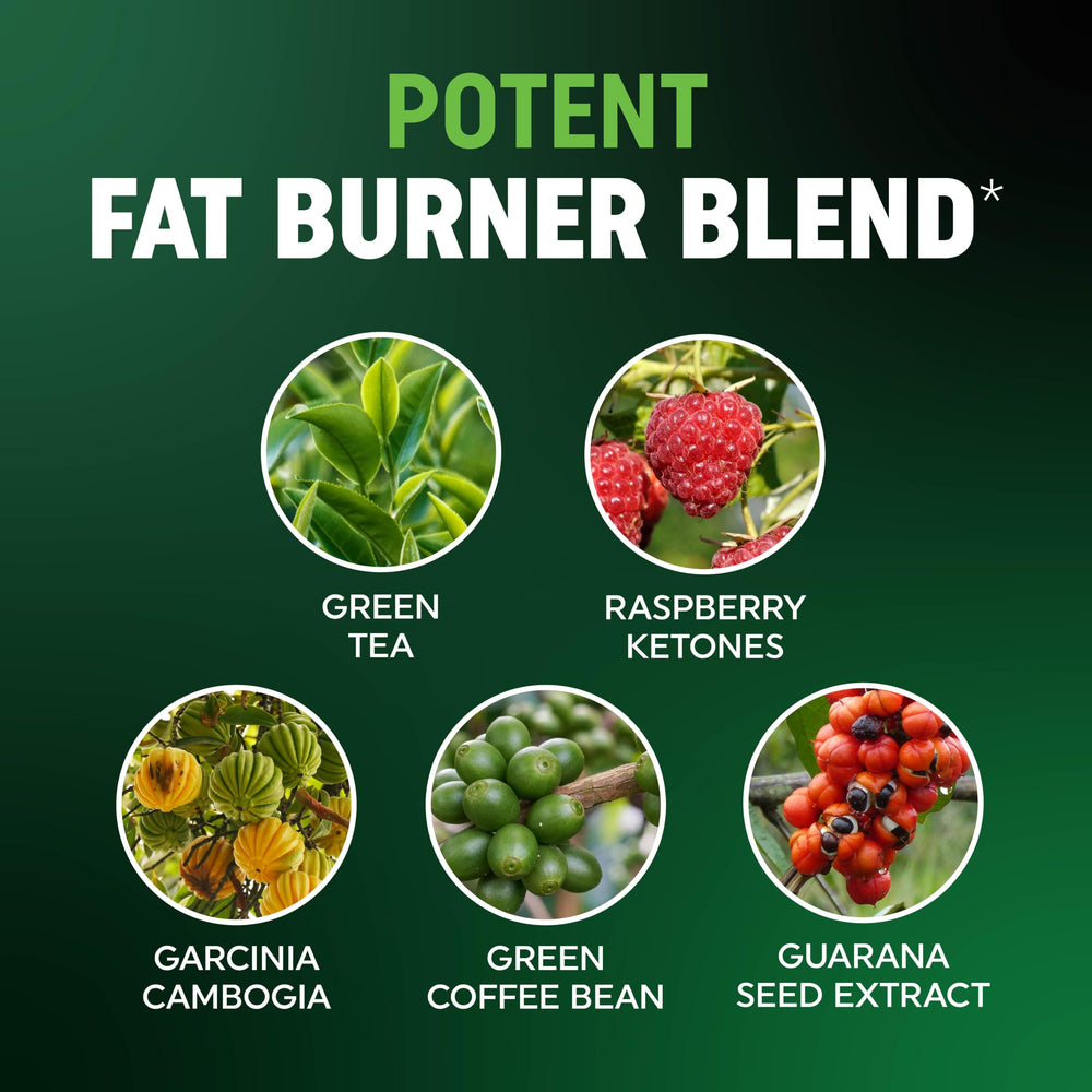 MAV Nutrition green-coffee-bean energizing gummies area conveying morning fat burn
