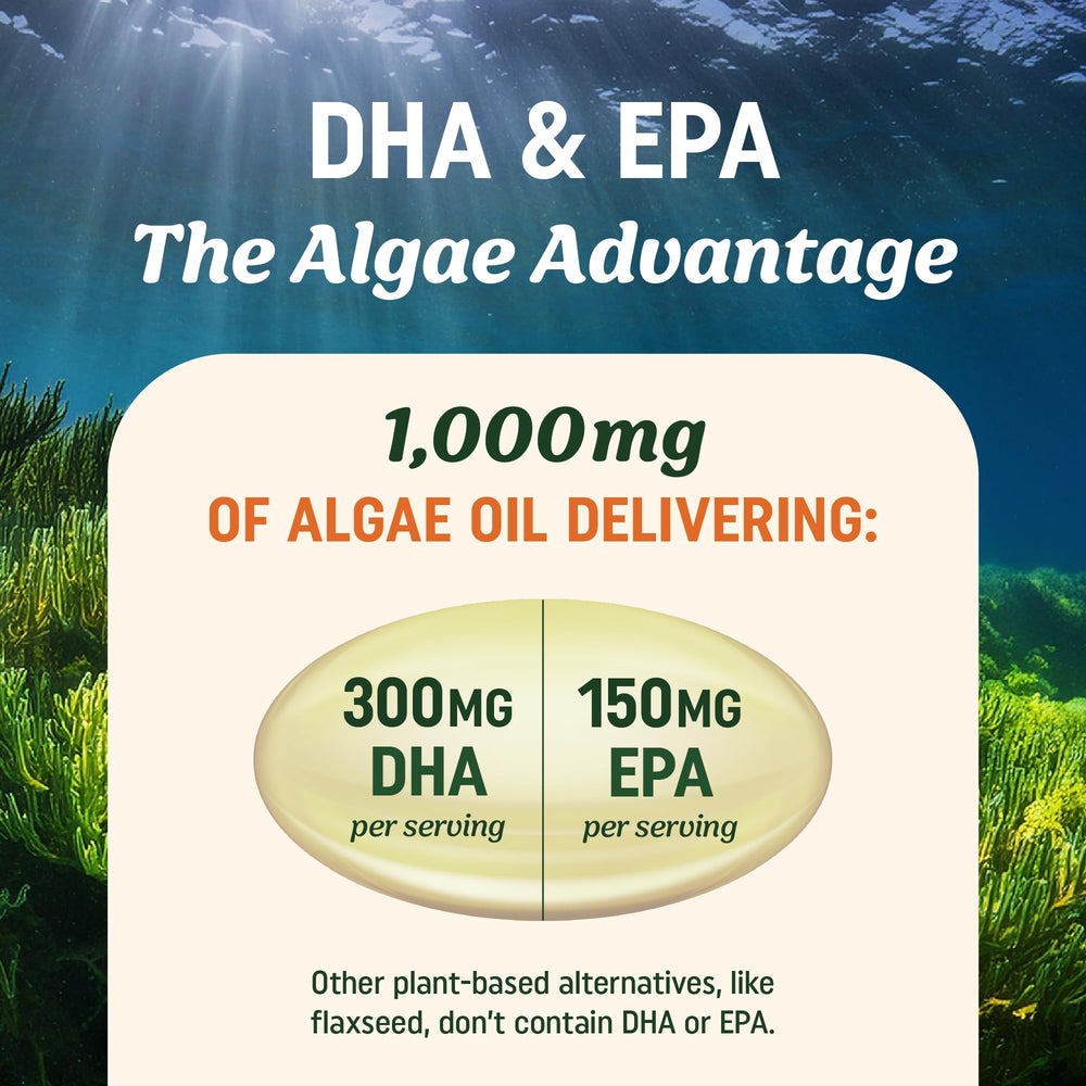 Sustainably sourced microalgae for eco-friendly omega-3 production by MAV Nutrition