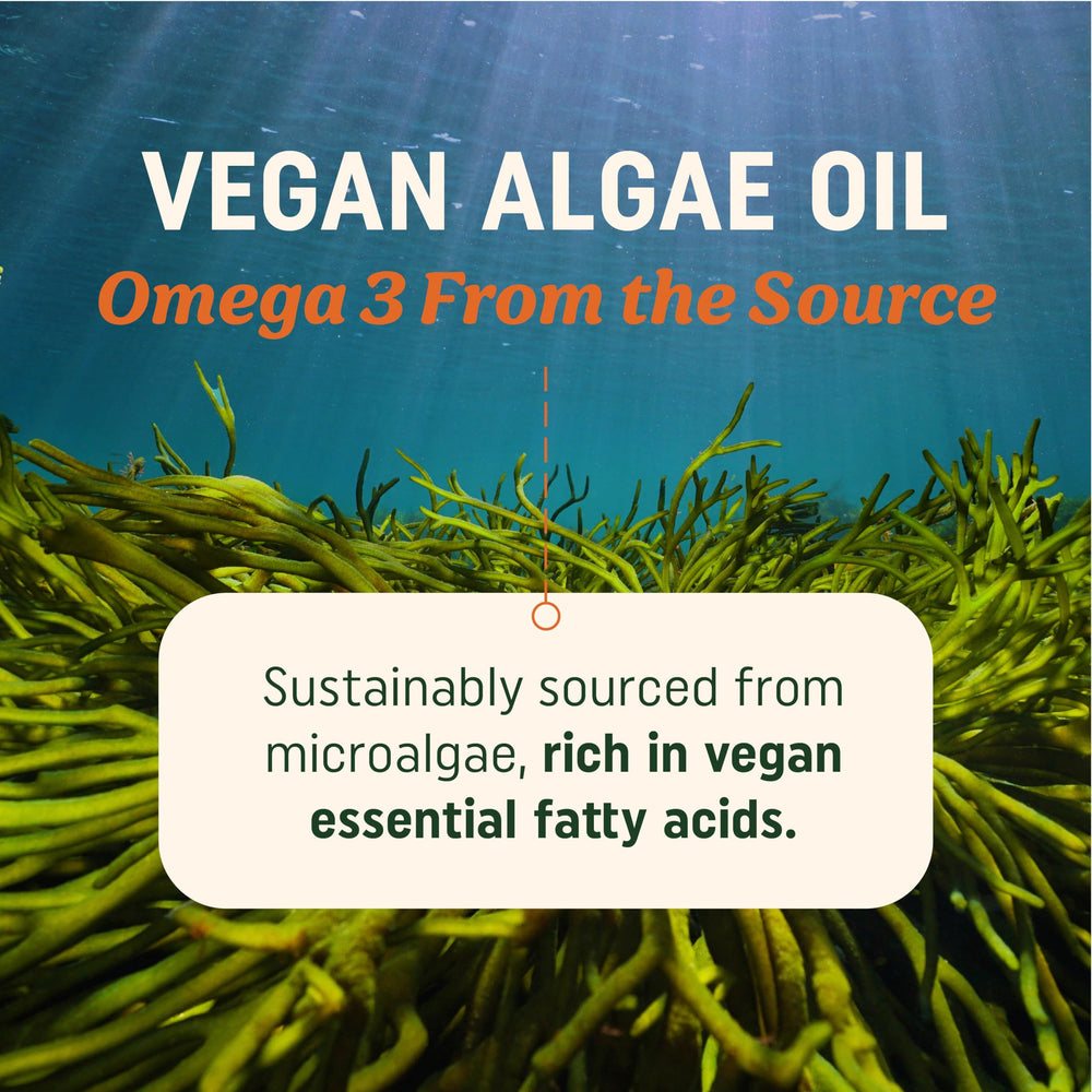 MAV Nutrition vegan DHA EPA capsules highlight convenient softgel format