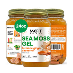 MAX FIT Sea Moss Gel jar front view, premium raw gel