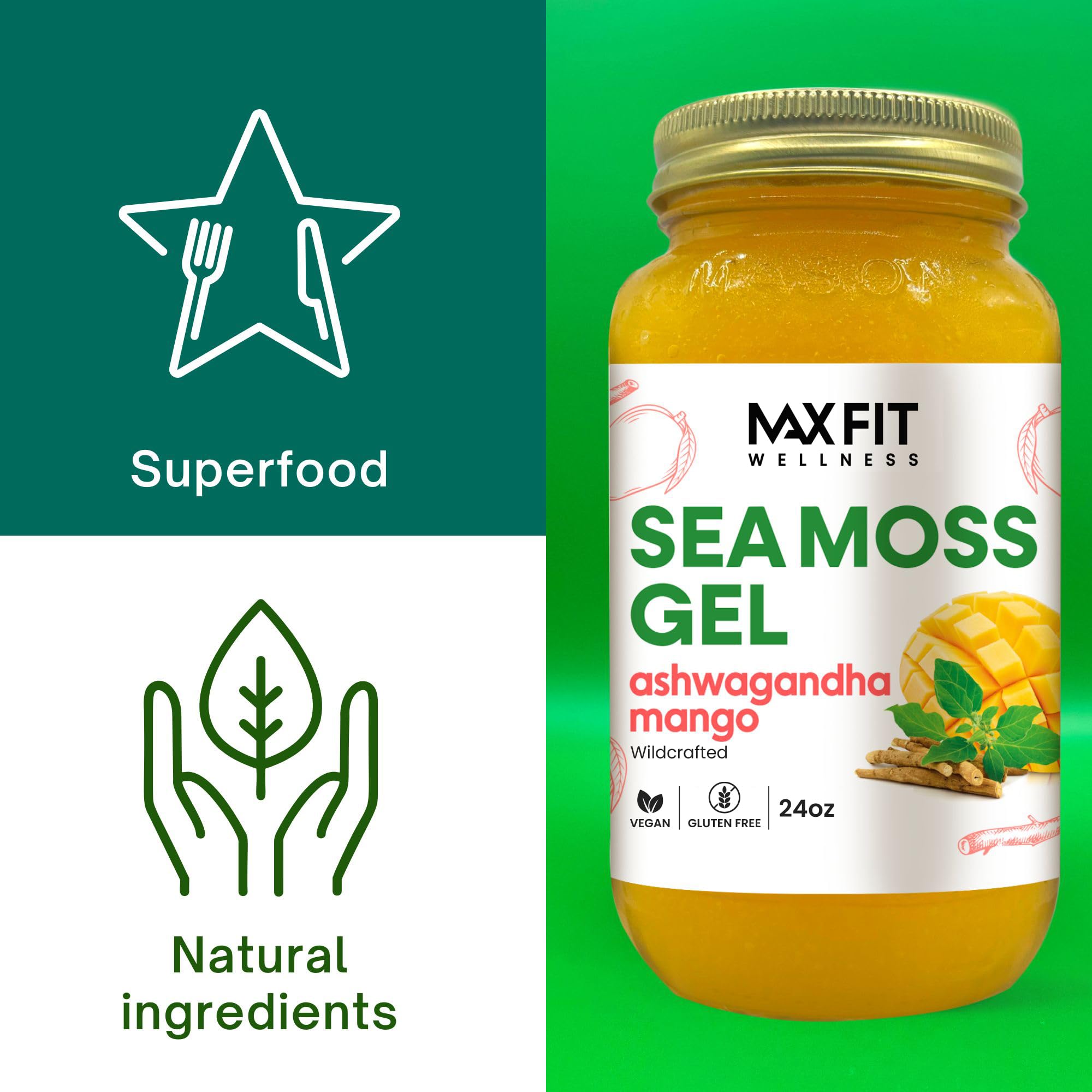 MAX FIT Sea Moss Gel blended into a smoothie for versatility