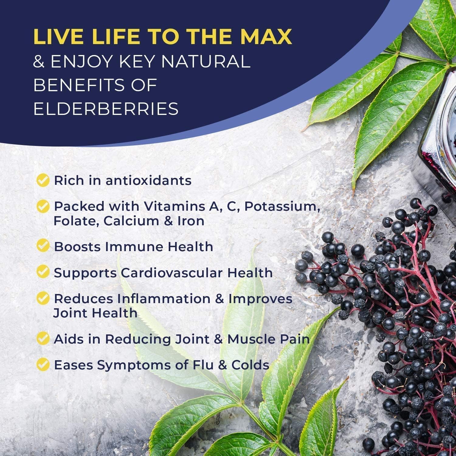 MaxImmunity elderberry drops family-use bottle highlighting easy daily dosing for all ages