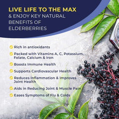 MaxImmunity elderberry drops family-use bottle highlighting easy daily dosing for all ages