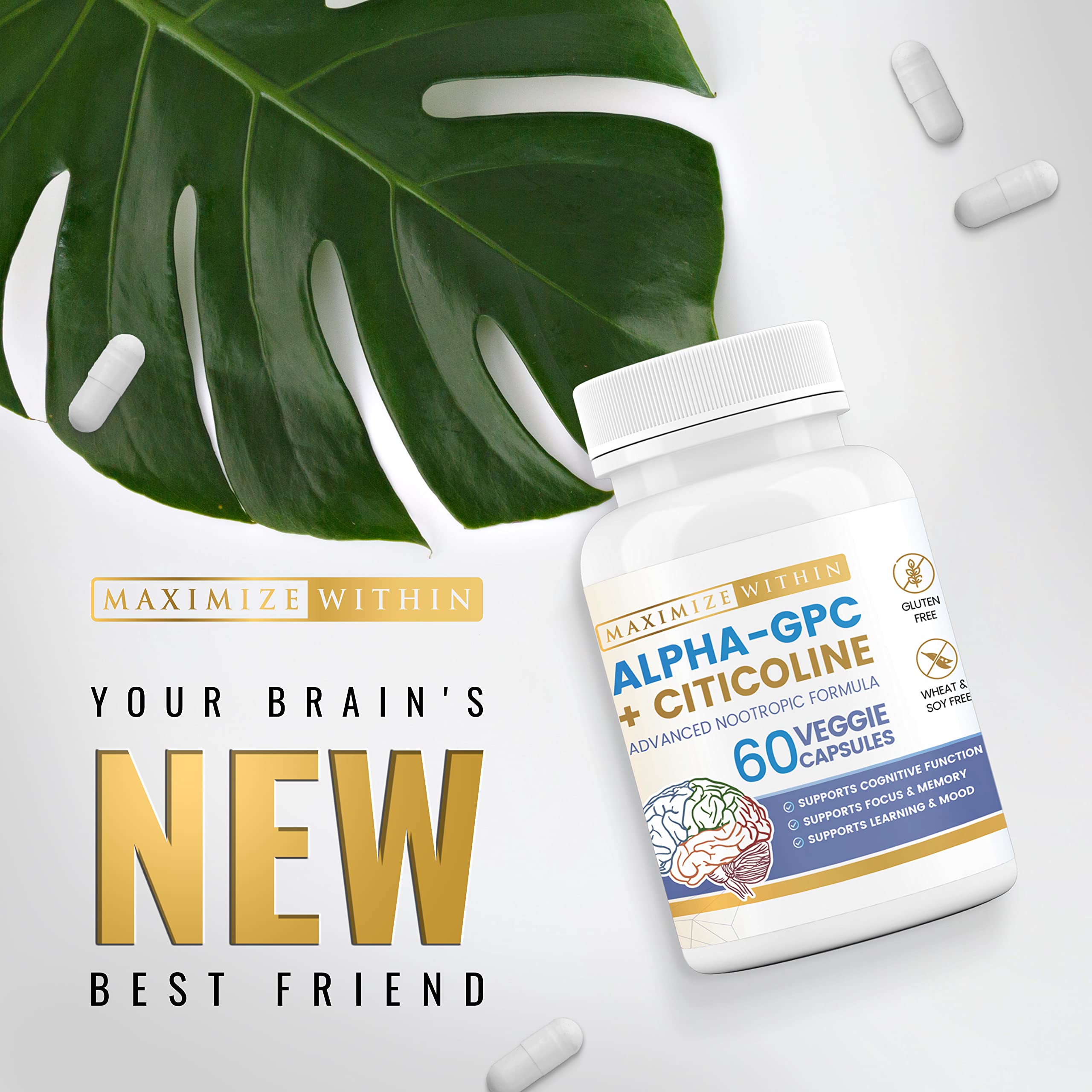 Workdesk scene featuring Maximize Within Alpha GPC + Citicoline for cognitive tasks
